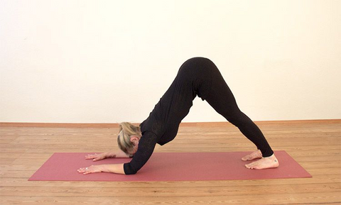 women doing the dolphin pose