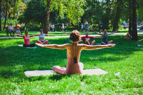 a yoga instructor conducting a class in the park