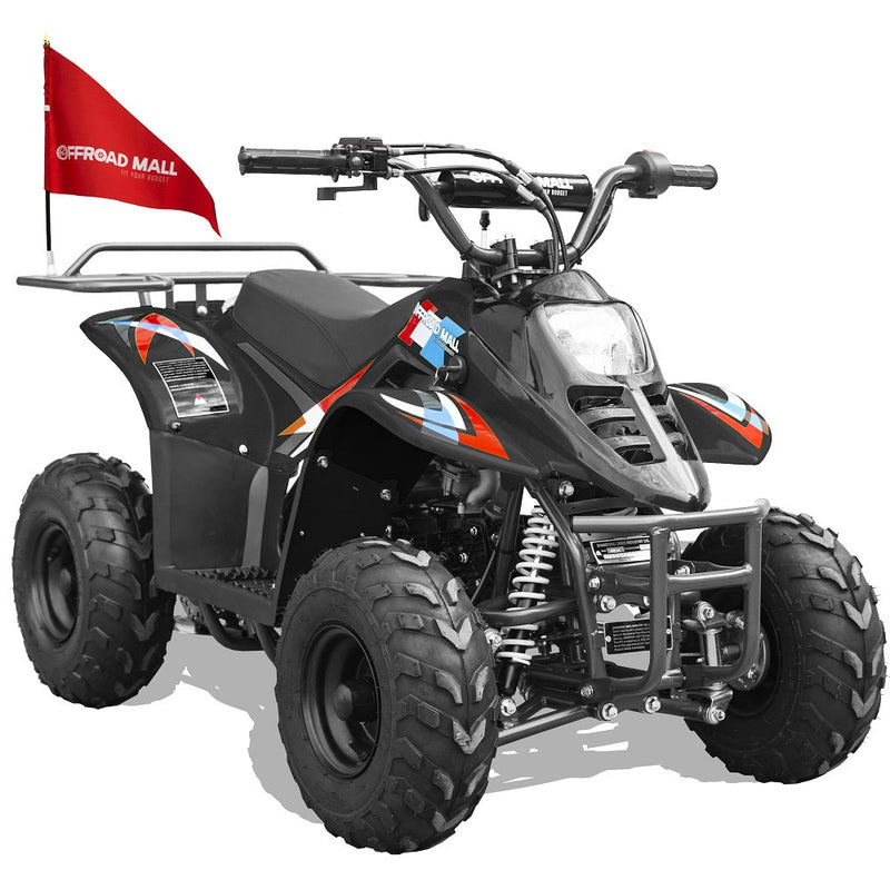 Offroad Mall 110cc ATV for Kids (With flaws, Warehouse Pickup Only)