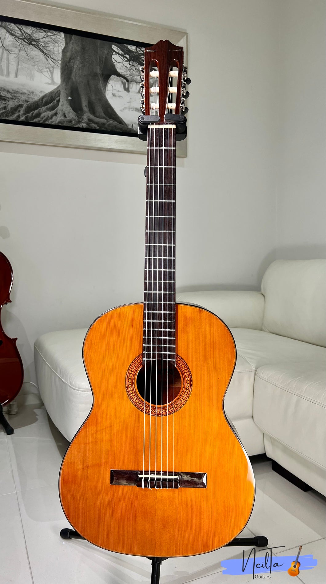 sears classical guitar