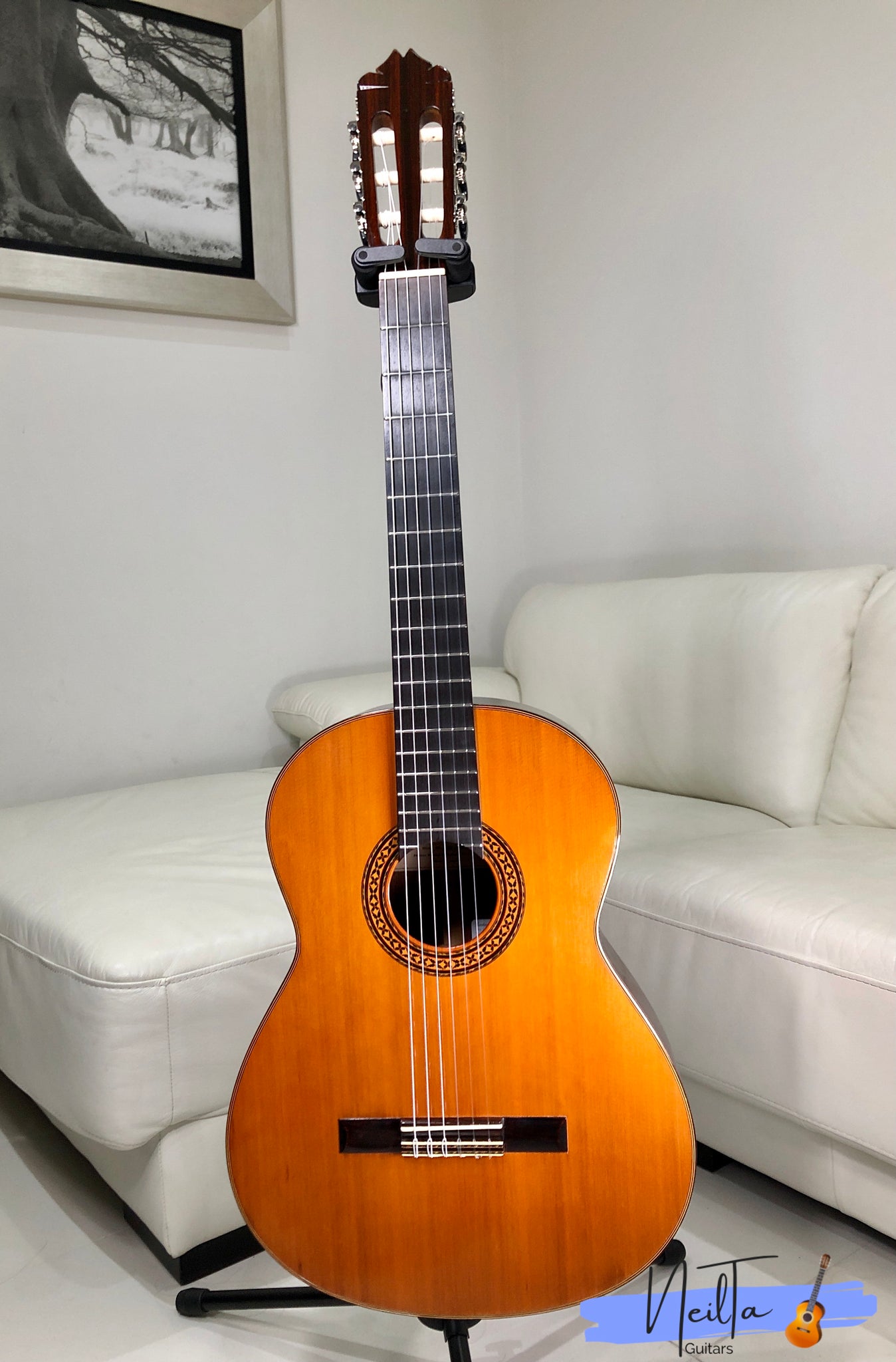 shinano classical guitar