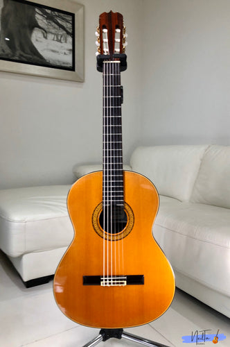 sears classical guitar