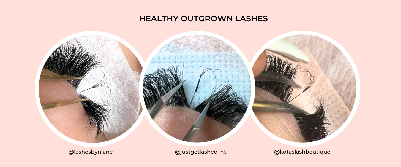 Healthy outgrown lashes