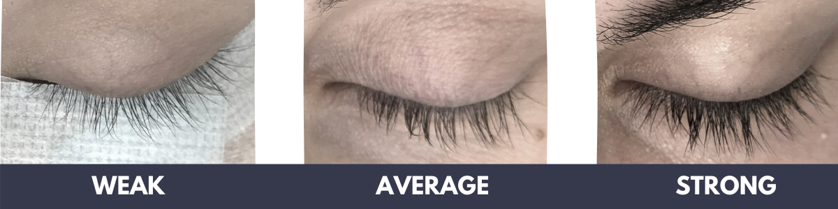 eyelash extensions weak average strong lashes example sample