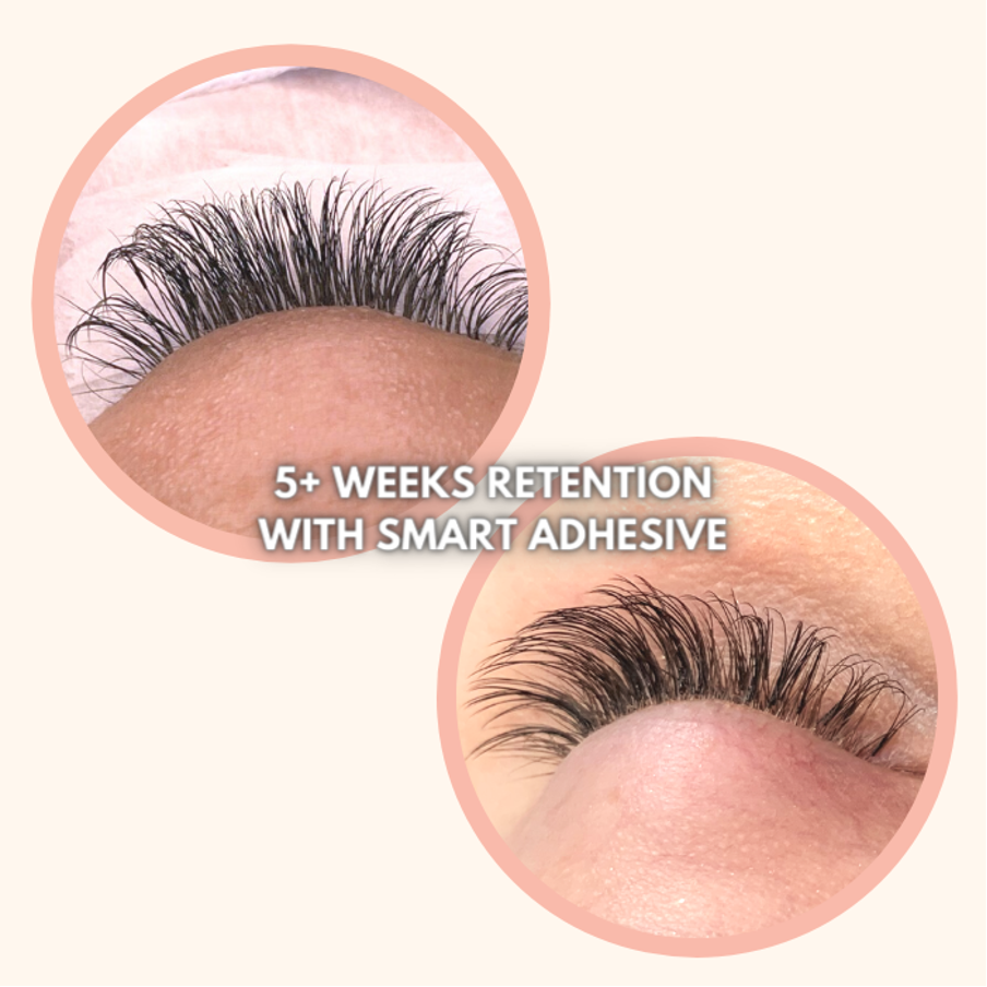 lash jungle's adhesive retention