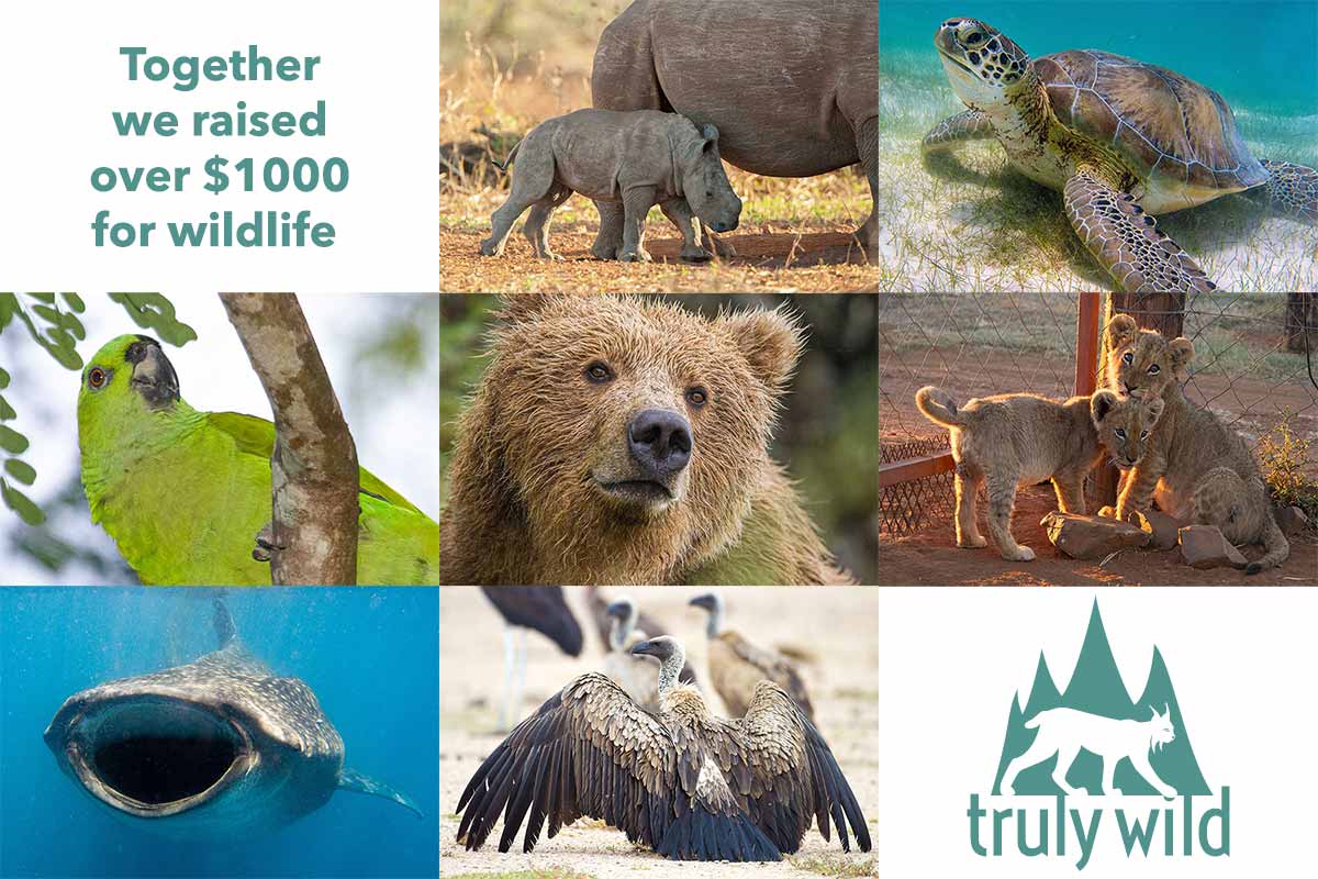 truly wild conservation donations first half 2021