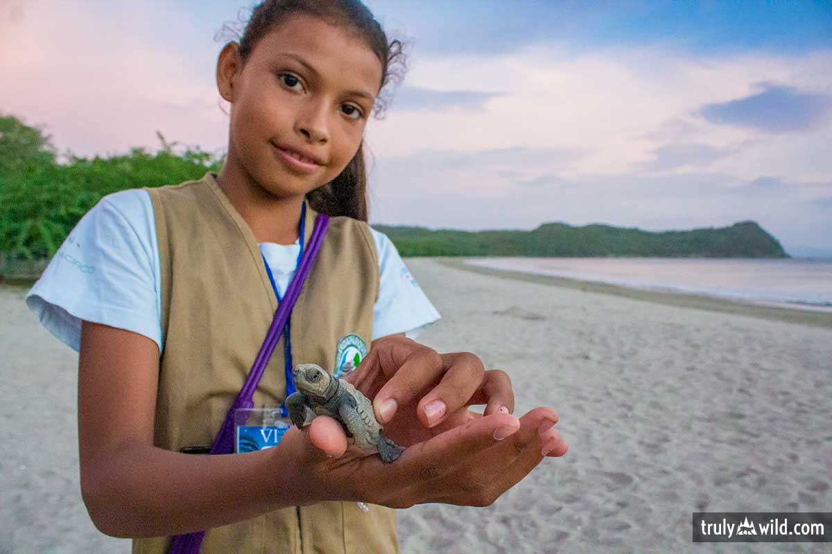 Paso Pacifico junior ranger with sea turtle hatchling