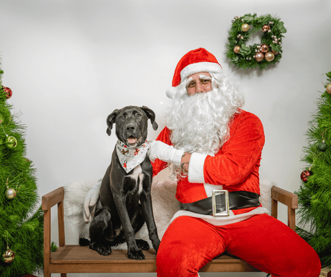 Dog and Santa_Gourmate Pet Treat Co. Christmas