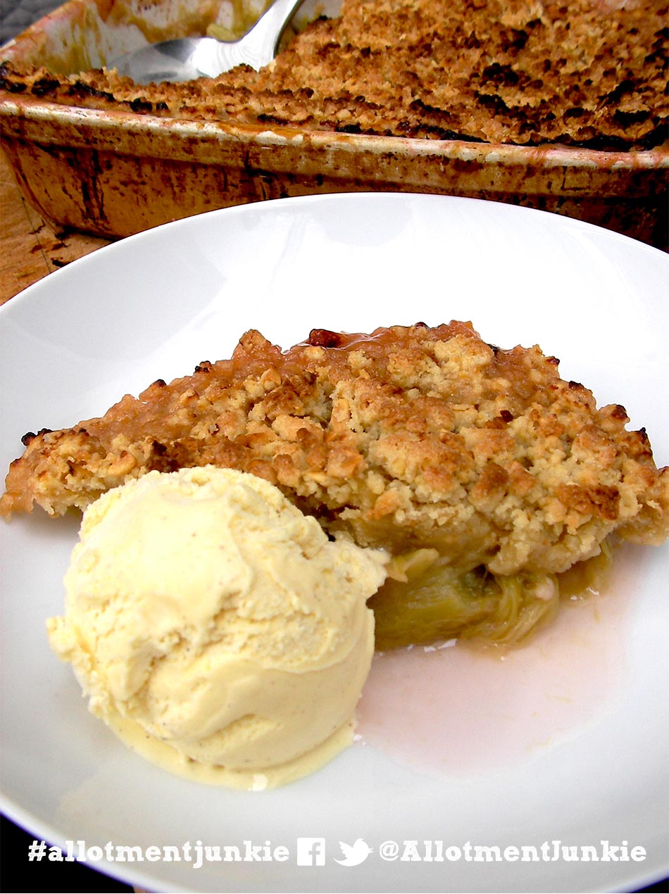 Rhubarb crumble with ice cream in a dish