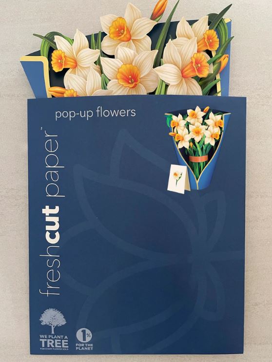Dear Dahlia Life-Sized Pop-Up Flower Bouquet by FreshCut Paper Sylvania,  Florist: Stellar Blooms