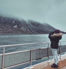 Fjords en Norvege, exposition