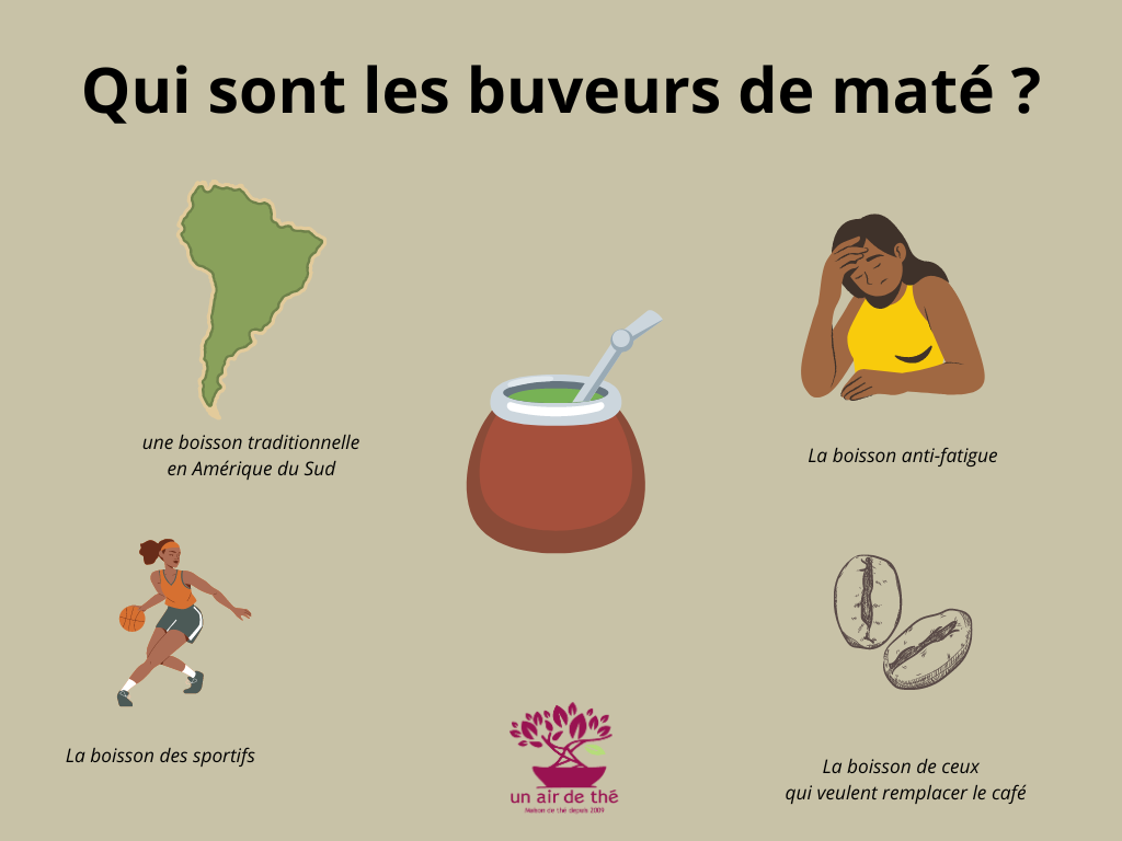 ▷ Maté et perte de poids : une boisson pour maigrir efficacement ? – Fraté  Maté