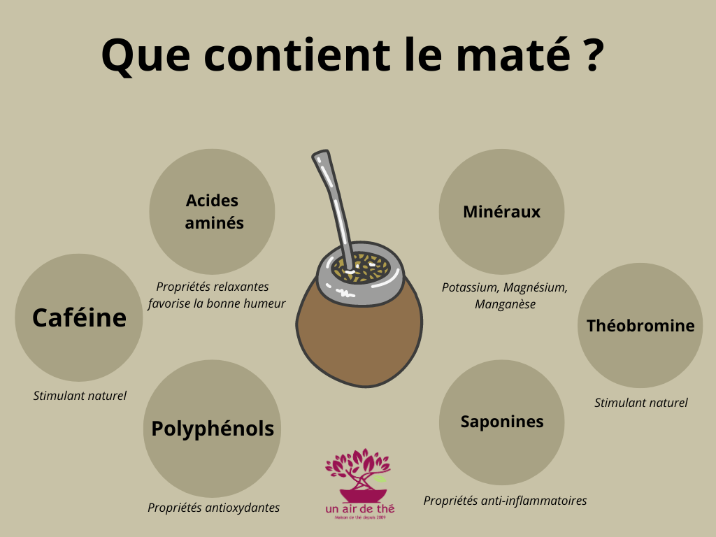 ▷ Maté et perte de poids : une boisson pour maigrir efficacement ? – Fraté  Maté