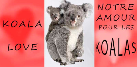Koala Love Pourquoi Aimons Nous Les Koalas La Maison Du Koala