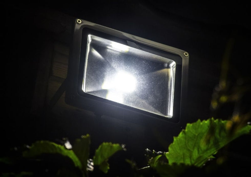 The Benefits of Dawn-to-Dusk Security Lights