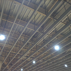 Bay ceiling