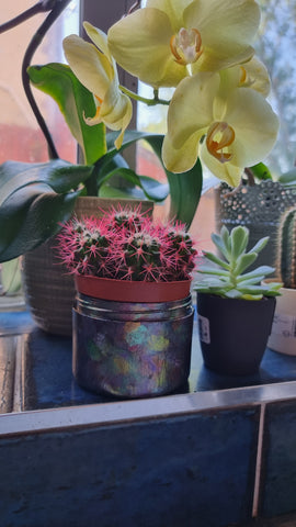 upcycled jar plant pot 