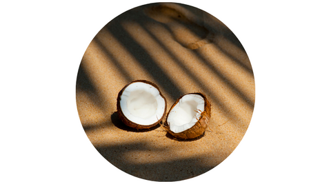 Coconut | Transformed Fragrance by Lifetherapy