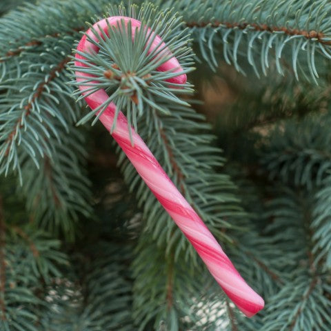 candy canes on christmas tree