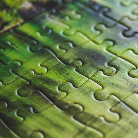 jigsaw puzzle closeup green peices conceptual