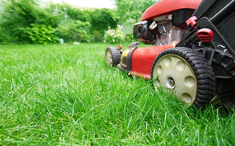 Mowing Lawn