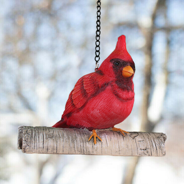 when god sends a cardinal