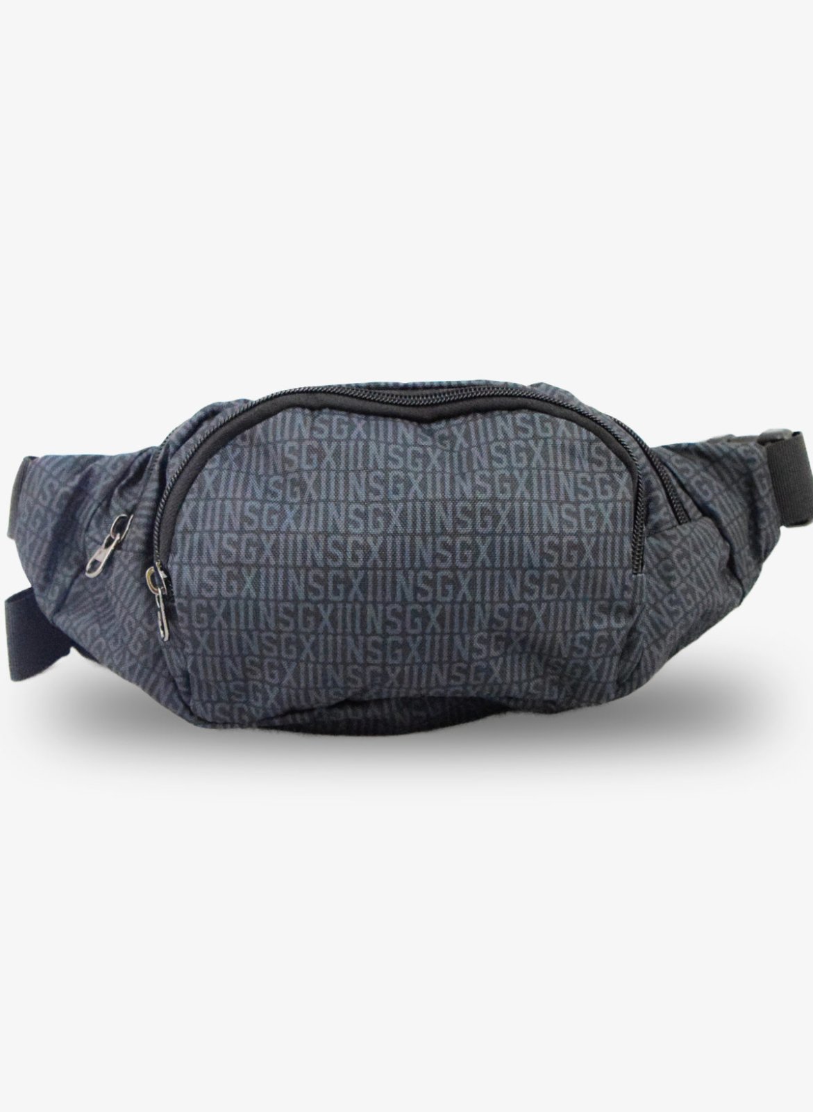 Image of Fanny Pack 2.0 | NSGXIII