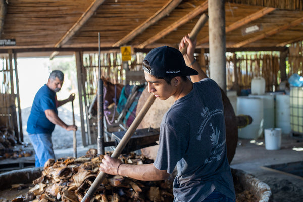 Master Mezcalero Gregorio Hernandez Jarquin makes mezcal with his son in Santiago, Matatlan Oaxaca