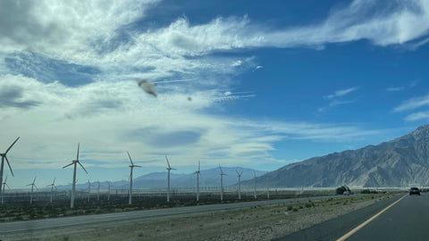 Edie Kahula Pereira_Everyday oil BTS_Joshua Tree_poop on windshield return to la