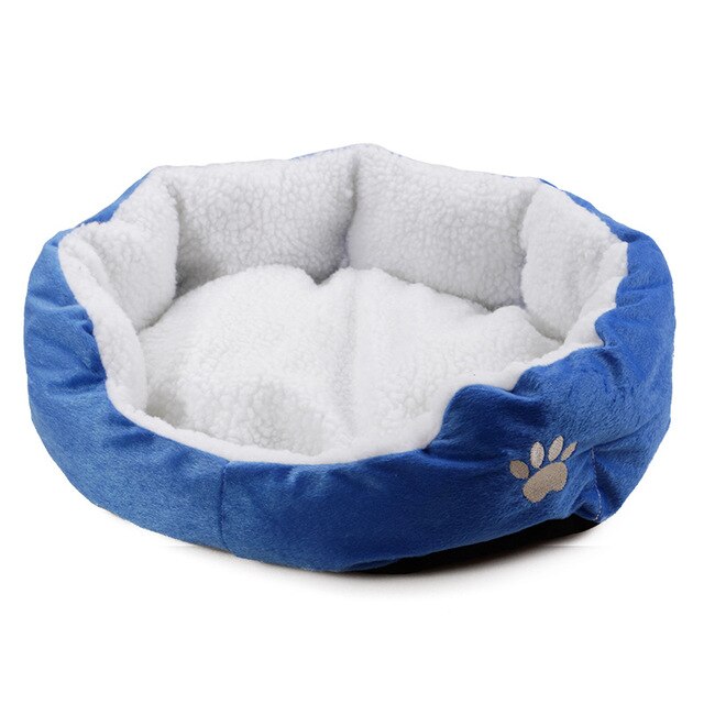 cute small dog beds