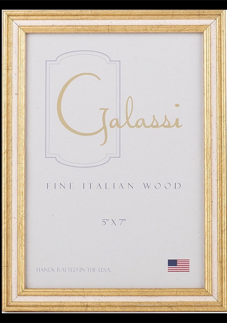 F.G. Galassi Silver 4x6 Hinged Vertical and Horizontal Ready Made Wood Frame  - style 13846VH2