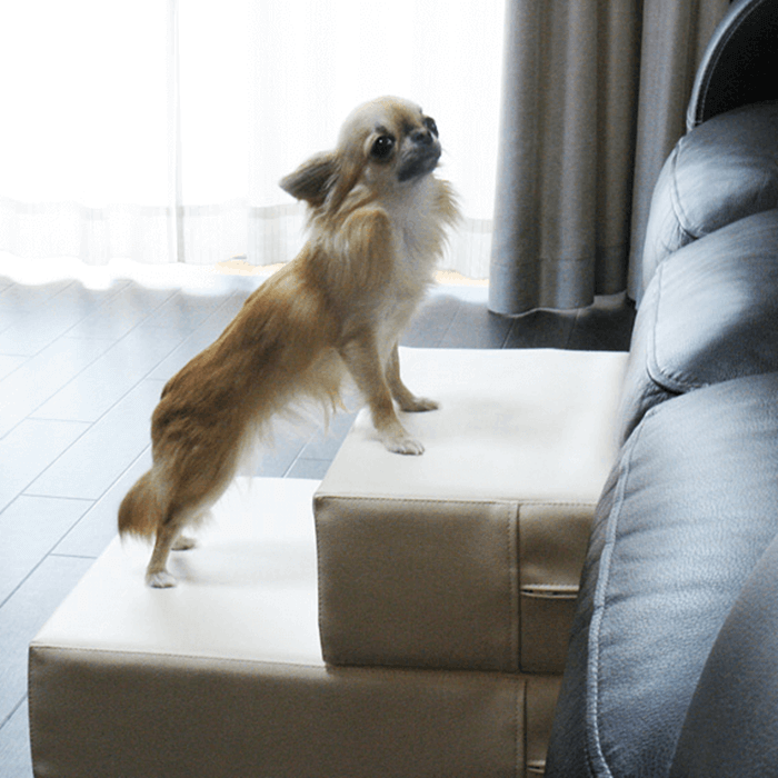 レザードックステップ クッション 猫ベッド 踏み台 犬用階段 ペット用品 ペットソファー Pvc 特別なファッション