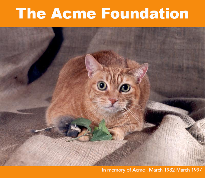 The Acme Foundation