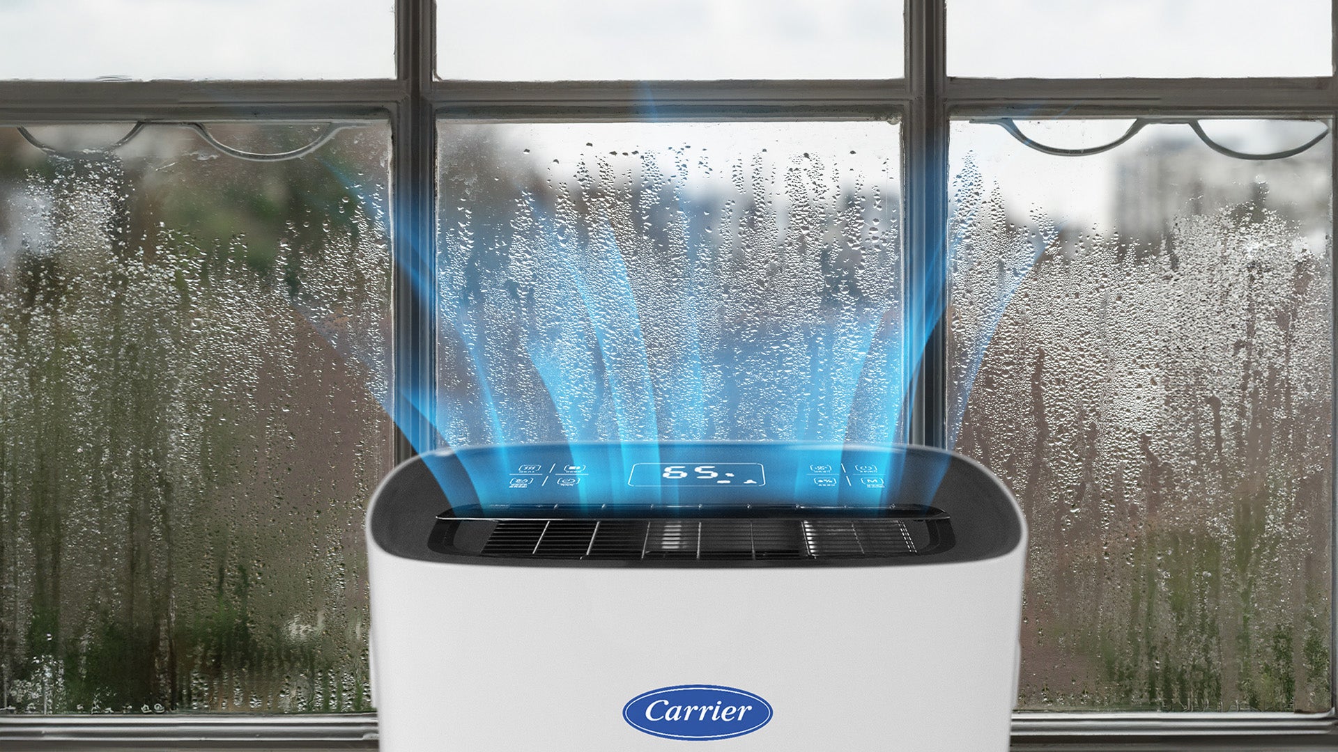 https://concepstore.ph/collections/carrier/products/carrier-dehumidifier-30l