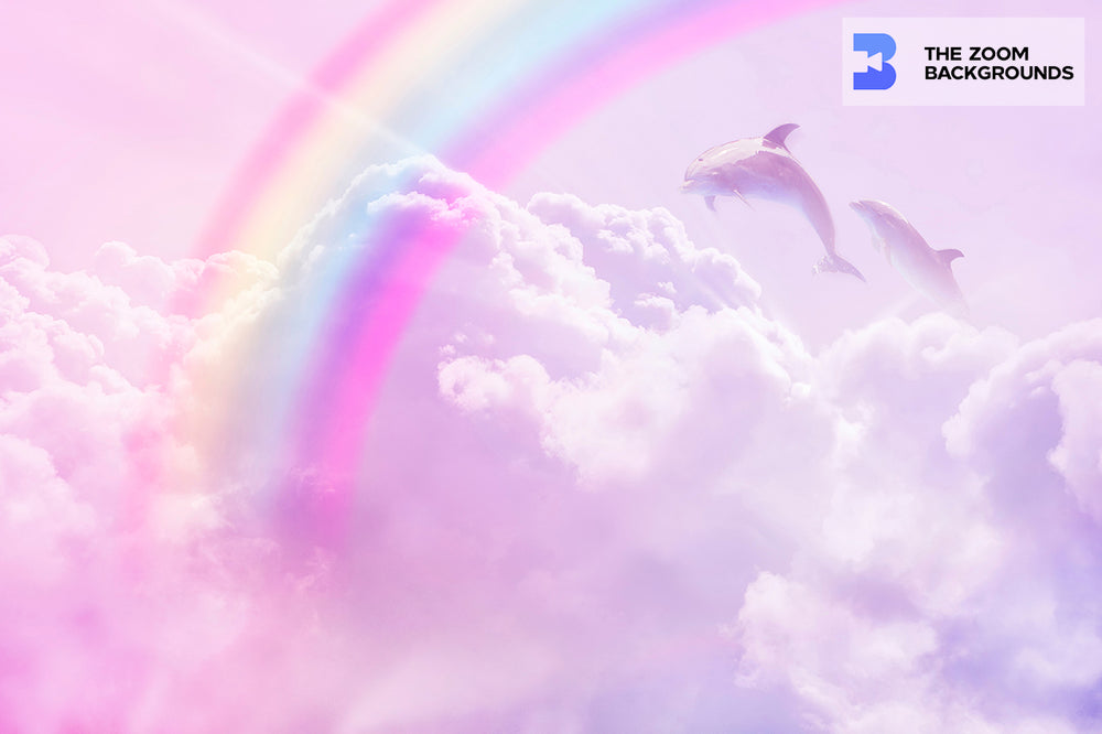 rainbow dolphin unicorn