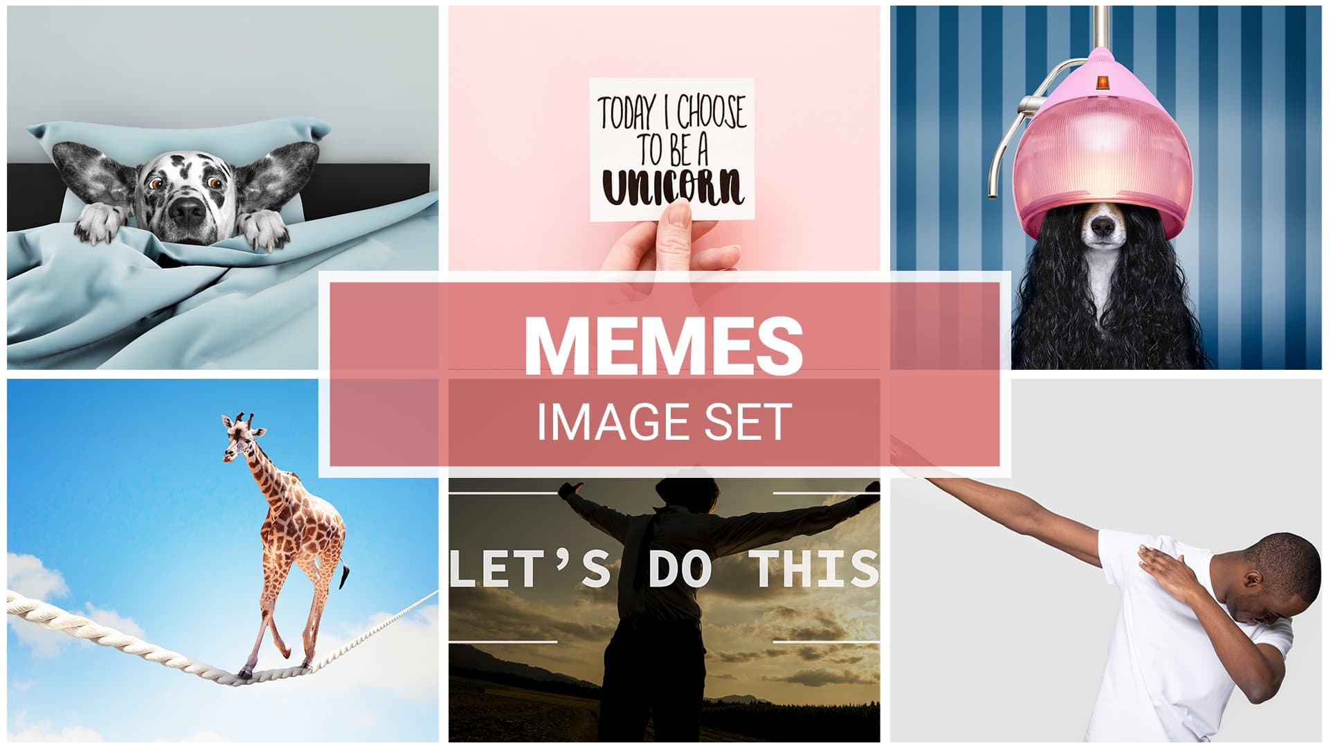 Memes Zoom Backgrounds Set (22 images) + FREE e-book