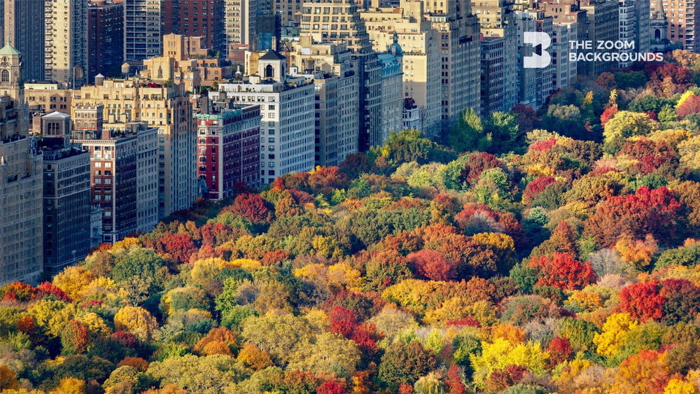 Video conferencing backgrounds featuring New York State in the fall