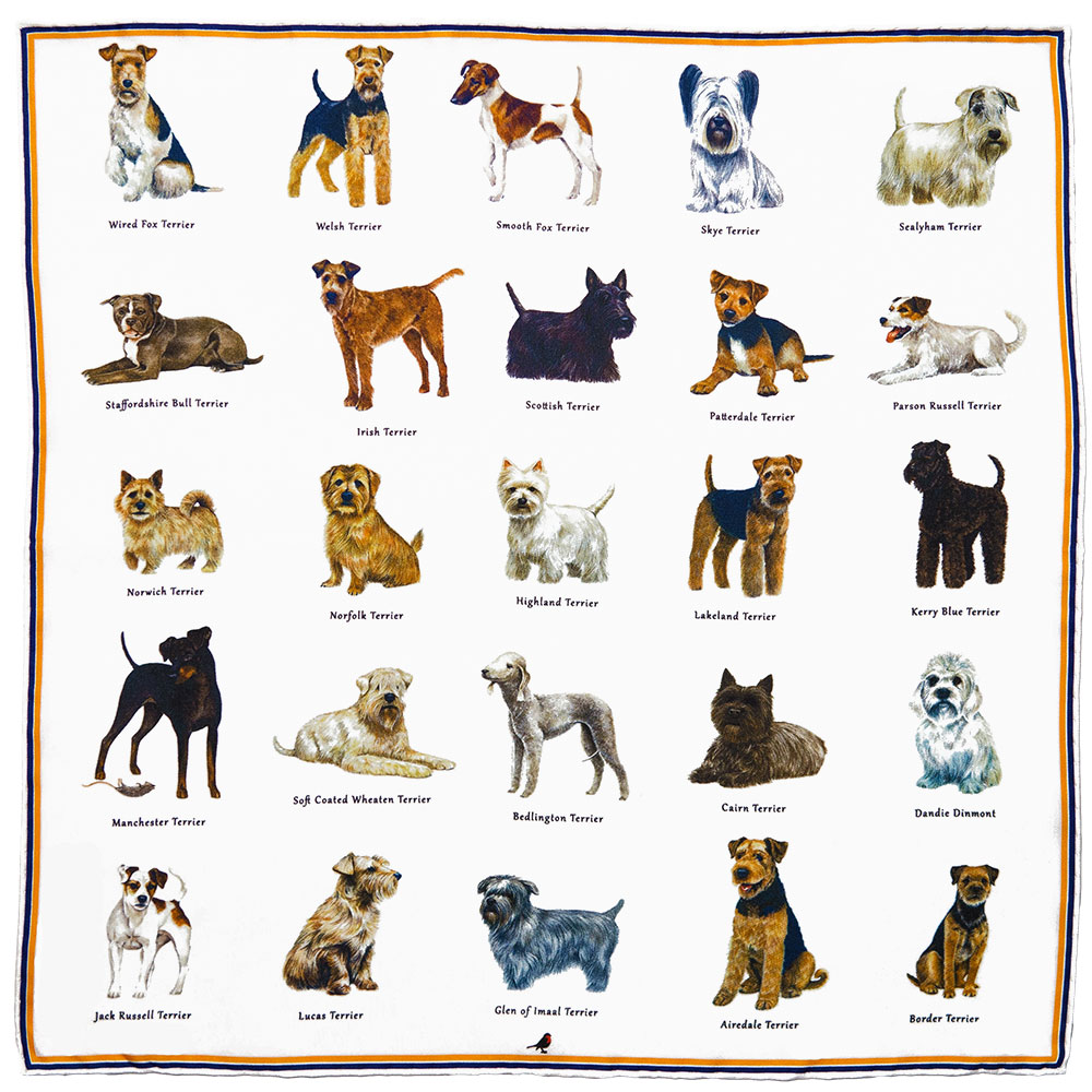 how many types of terrier breeds are there