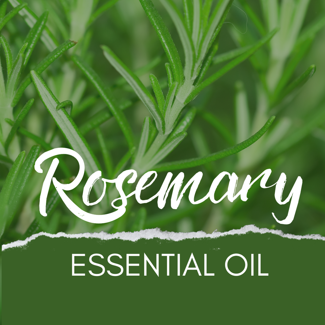 Rosemary 🌿 Essential Oil 💧
