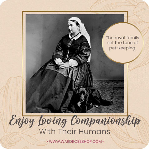 Enjoy Loving Companionship With Their Humans