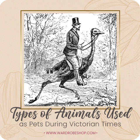 Types of Animals Used as Pets During Victorian Times