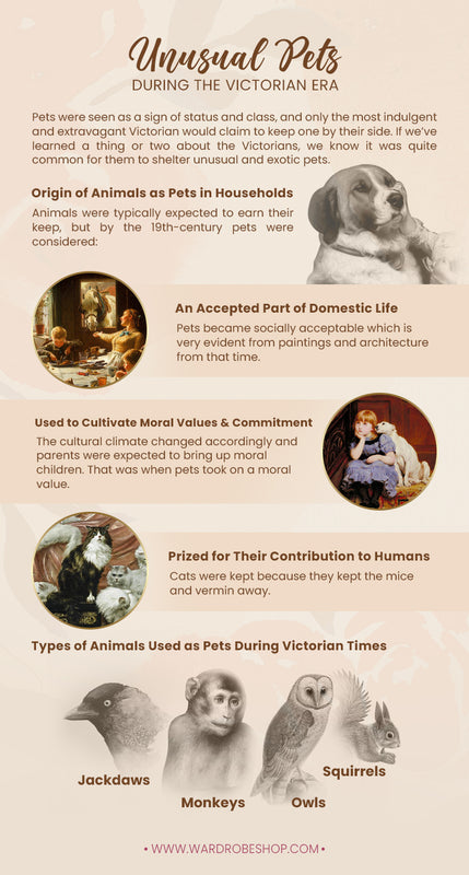 Unusual pets during the victorian era