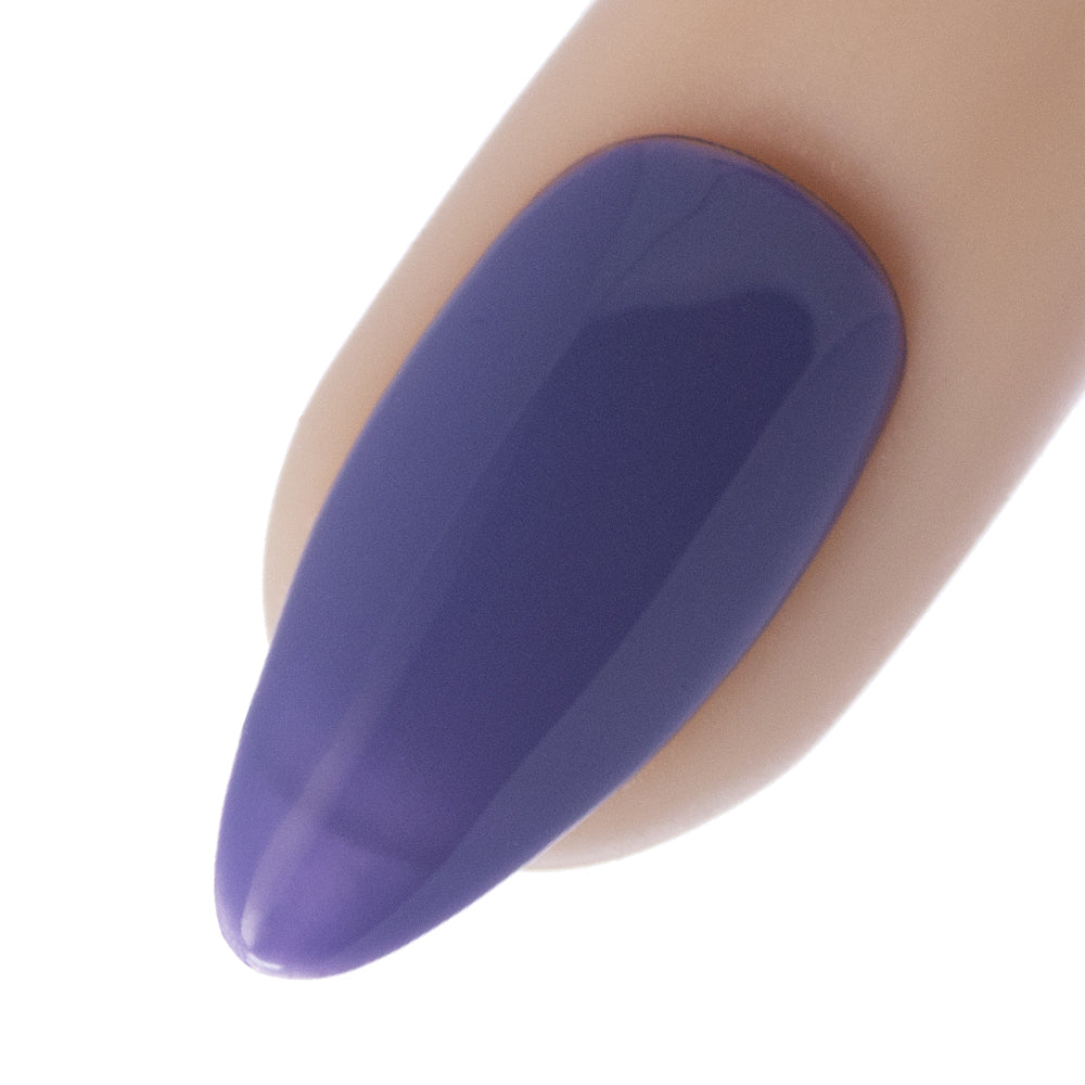 Buy Lavender Violets 21 Pcs Gel Nail Polish Set Solid Classical Colours  Soak Off UV LED Nails Varnish With Base Coat,Glossy n Matte Top Coat Nail  Art Manicure Salon Styling New Year