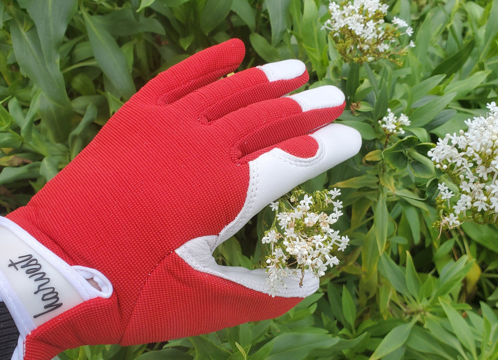 HARVEST-GOATSKIN-GLOVES