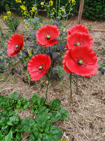 MARTHA'S VINEYARD Garden Stake Set 3 Poppies - Red