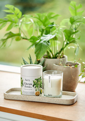 AERY LIVING Botanical 200g Soy Candle - Citrus Tonic