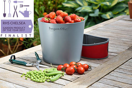 Hip Trug filled with baby tomatoes on timber table