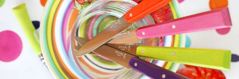 OPINEL N°125 'Bon Appetit' Table Knife 4 Piece Set (Pop Colours)