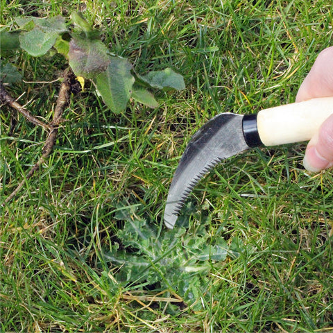 BURGON & BALL Lawn Weeding Knife