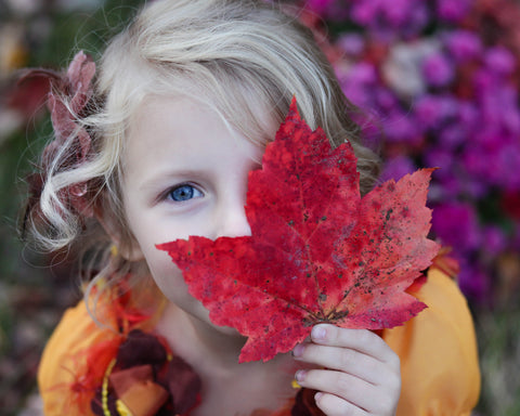 little girl with large red maple leaf